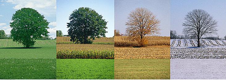 《圣剑传说》新作并非开放世界 主角是热血少年