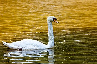 科学ADV《匿名代码》公开男女主角宣传视频